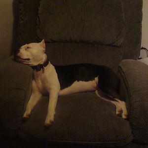 Meet your Posher, Jen